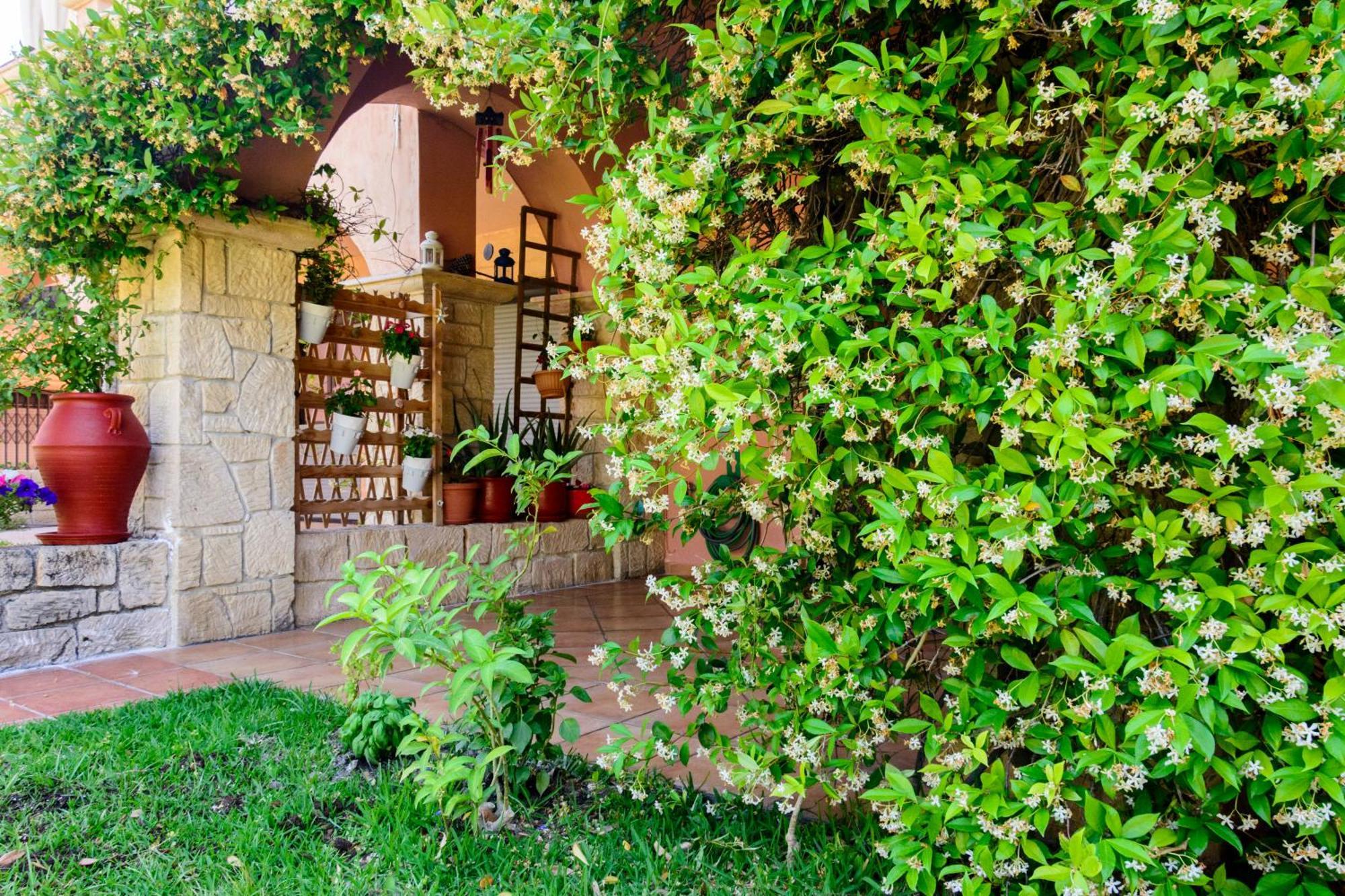 La Luna House Πευκοχώρι Εξωτερικό φωτογραφία