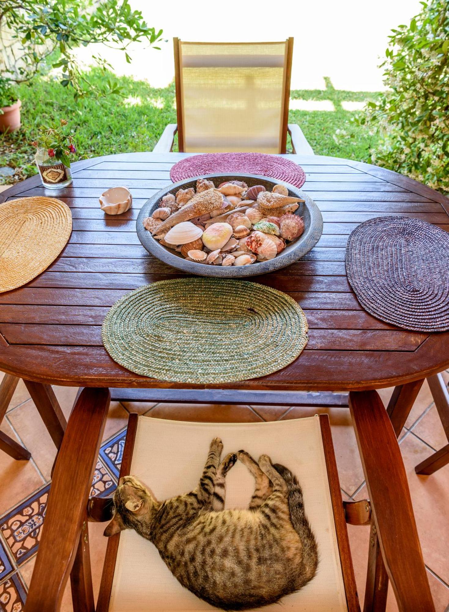 La Luna House Πευκοχώρι Εξωτερικό φωτογραφία
