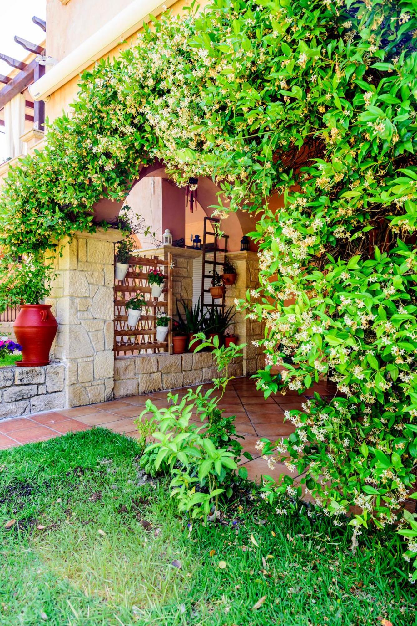 La Luna House Πευκοχώρι Εξωτερικό φωτογραφία